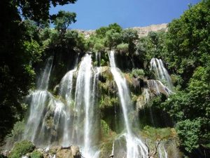 زرد لیمه رویایی به بلندای بام ایران