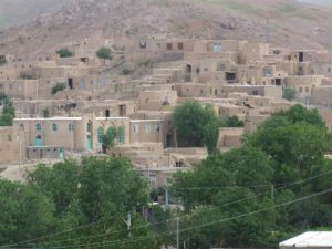 رویای زعفرانی زاوه – توریسم آنلاین