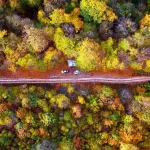 پارک ملی گلستان؛ سفر به سرسبزترین و اولین پارک ملی ایران