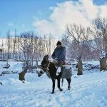 بارش اولین برف در روستای پنیری ایران/ عکس