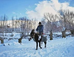 بارش اولین برف در روستای پنیری ایران/ عکس