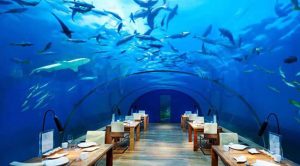 رکوردشکنی تاریخی کیش در جذب گردشگر خارجی