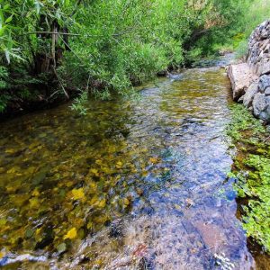 گیشیگان عروس سبز راین – توریسم آنلاین