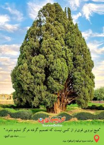 کسی که هرگز تسلیم نمی شود!/ عکس نوشته