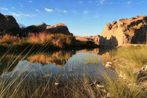 شمیل نگینی در کرانه های جنوبی