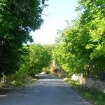 تاریخ هزارتوی زردآلو آباد! – توریسم آنلاین