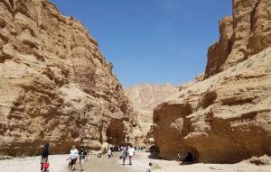 این 6 چشمه 4 ستون بدنتان را گرم می کنند!